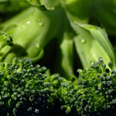 Brócoli - Brocoli - Hortiberia