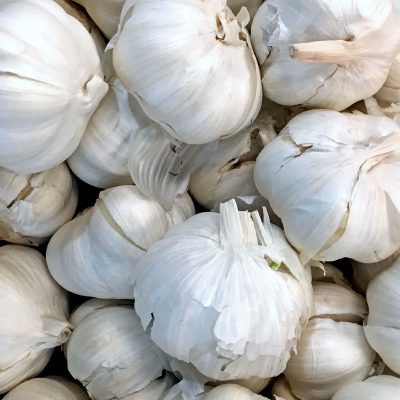 Ajo - Garlic - Hortiberia