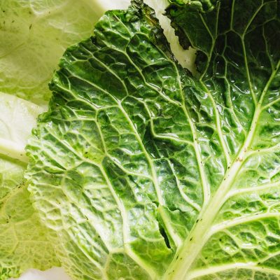 Col Lisa - Cabbage - Hortiberia