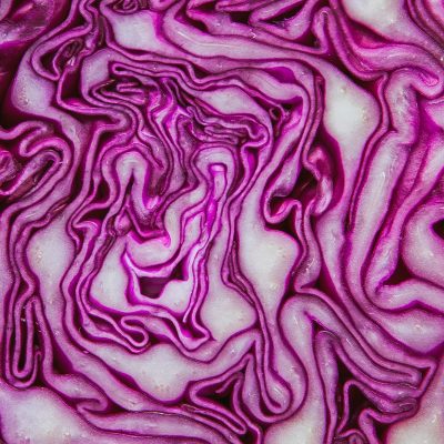 Col Lombarda - Red Cabbage