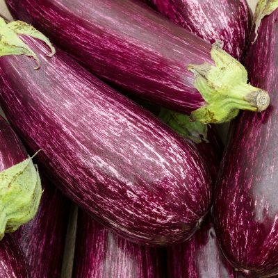 Berengena - Eggplant - Aubergines - Hortiberia