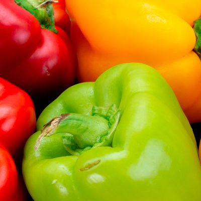 Pimiento - Peppers - Hortiberia