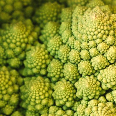 Romanescu - Romanesco Broccoli - Hortiberia