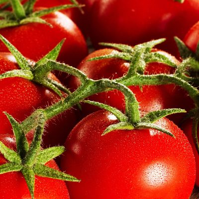 Tomate Cherry Tomatoes Hortiberia