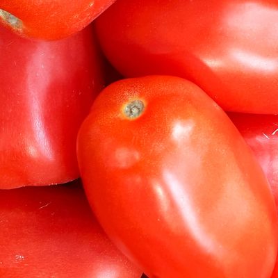 Tomate Pera - Plum Tomatoes - Hortiberia