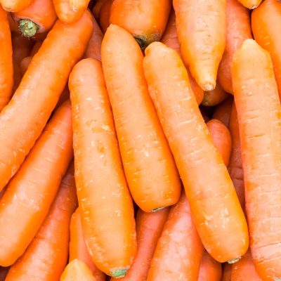 Zanahoria - Carrots - Hortiberia