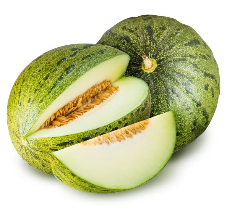 Honeydew - Melón Verde - Hortiberia